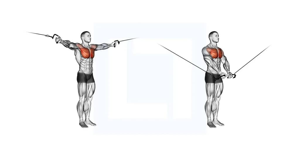 cable-crossover-variation_4_11zon A diagram showing the cable crossover, a chest isolation exercise that targets the middle and inner pectoral muscles for better chest definition.