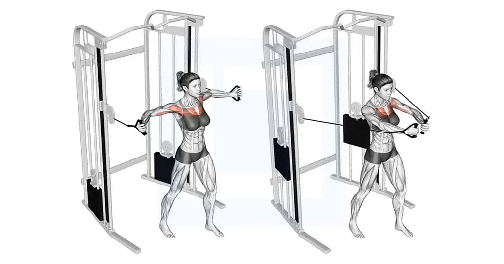 cable-middle-fly_8_11zon A diagram showing the cable iron cross, a chest isolation exercise that targets the middle and inner pectoral muscles using a standing cable crossover machine.