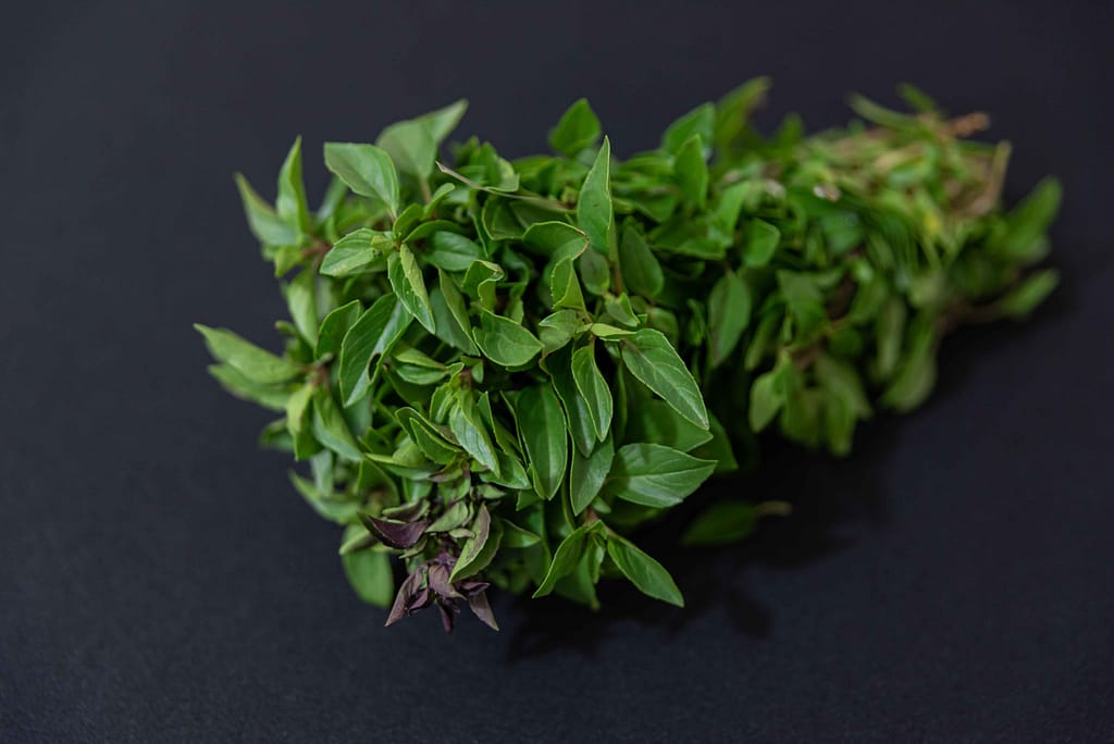 Fresh green herb bundle on a dark background illustrating Marjoram Substitutes.