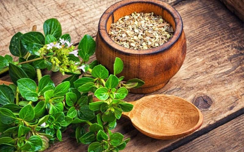 Lunch table and a spoon and a wooden bottle of marjoram