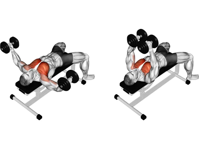 chestfly_dumbbell_full_large_9_11zon A diagram showing the flat dumbbell flye, a chest isolation exercise that targets the pectoral muscles and improves chest strength and definition.